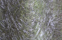 Twinstead Green fibreglass roof work